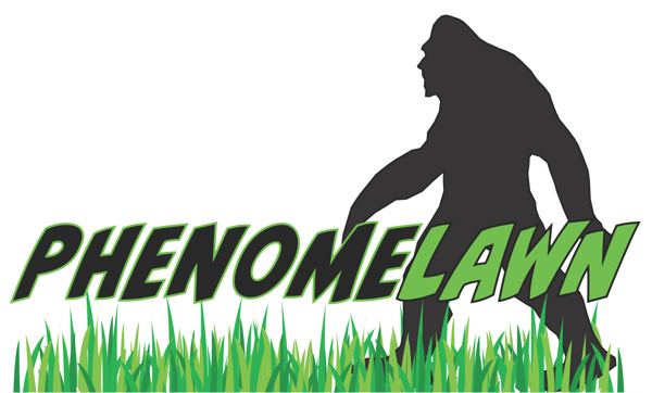 Phenomelawn